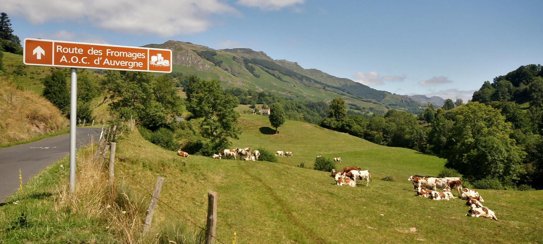 La Route des Fromages d'Auvergne vers le Mont Dore