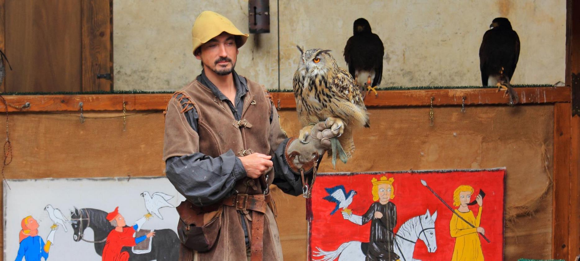 Fauconnier en spectacle au château de Murol