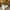 lit king size 1 ou 2 personnes, Chevets, tapis de peau de vache
