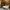 Chalet l'Anorak, chambre Tyrolienne, lit King Size et tapis peau de vache